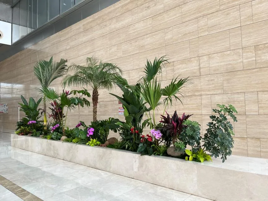 专业余姚花木租摆，铸就优质绿色体验