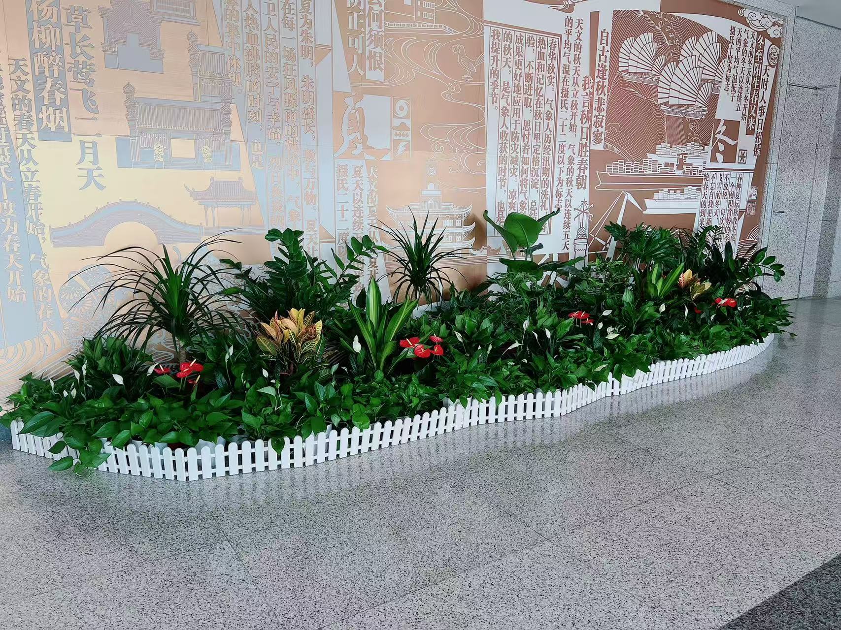 揭秘宁波前湾花卉租摆方案，畅享花卉时光